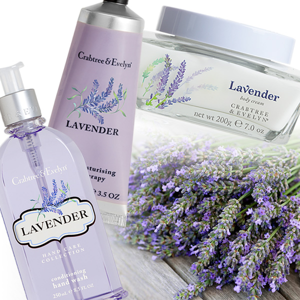 Lavender Flower Bath And Body