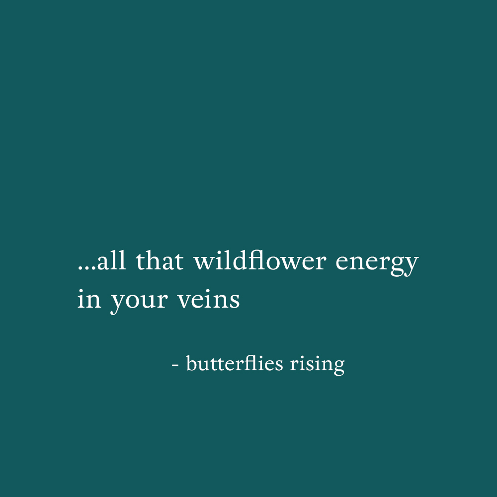 …all that wildflower energy in your veins - butterflies rising