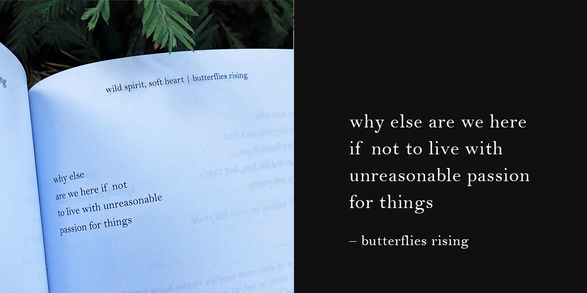 why else are we here if not to live with unreasonable passion - butterflies rising