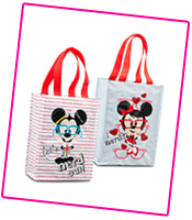 Disney Store Accessories